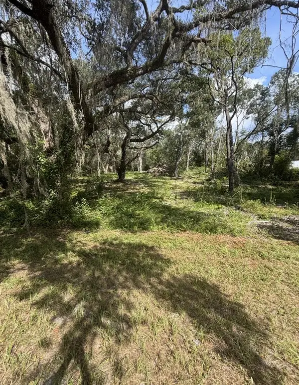 1014 NE Hwy 353, Old Town, FL 32680
