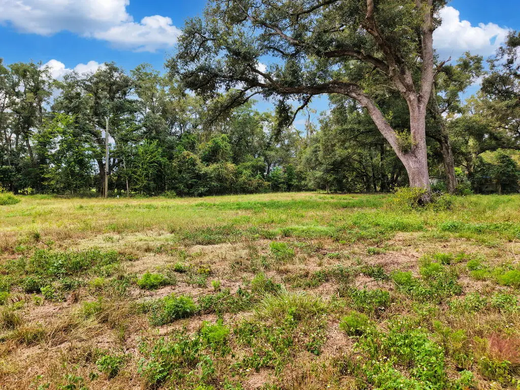 590 NW 20th Ave, Bell, FL 32619 - #1