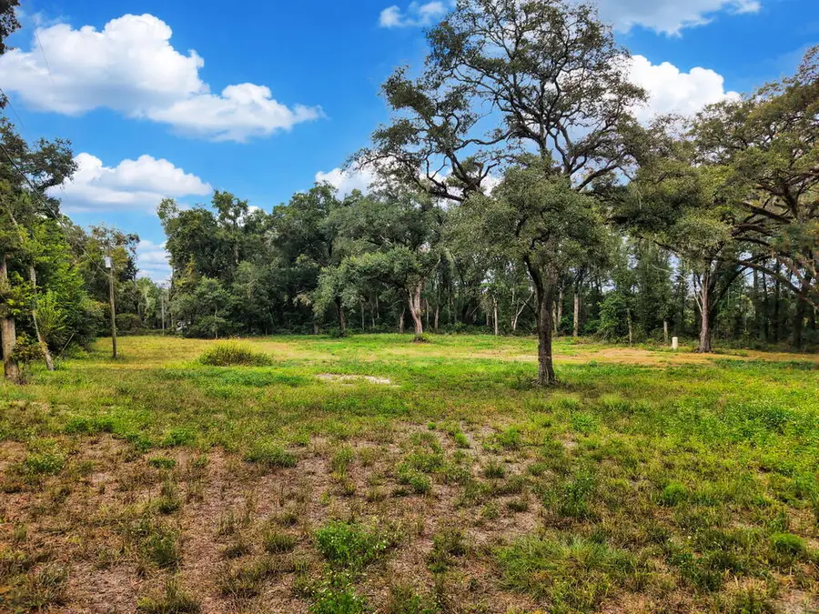 590 NW 20th Ave, Bell, FL 32619 - #3