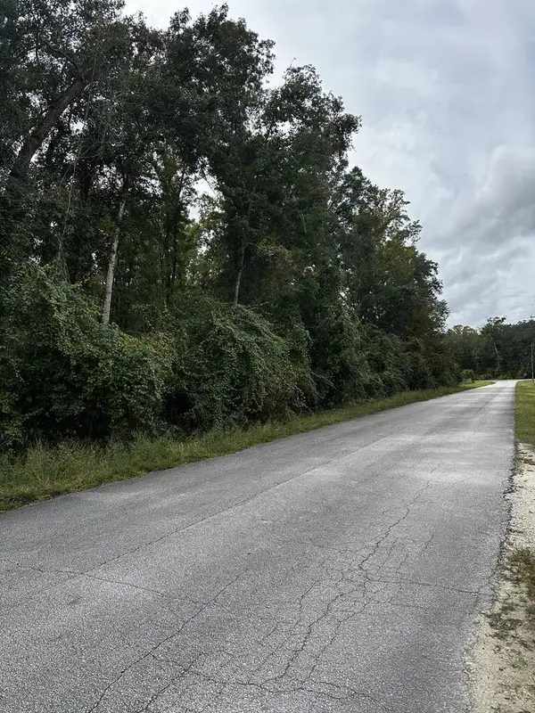 0 NE 303rd Ave, Old Town, FL 32680