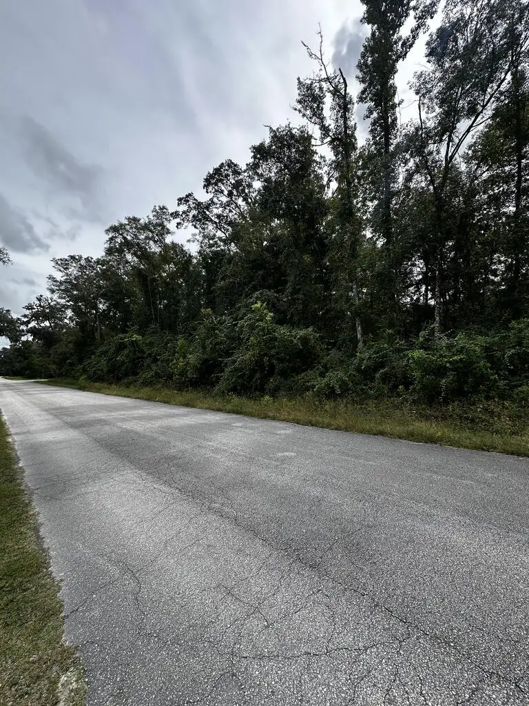 0 NE 303rd Ave, Old Town, FL 32680 - #2