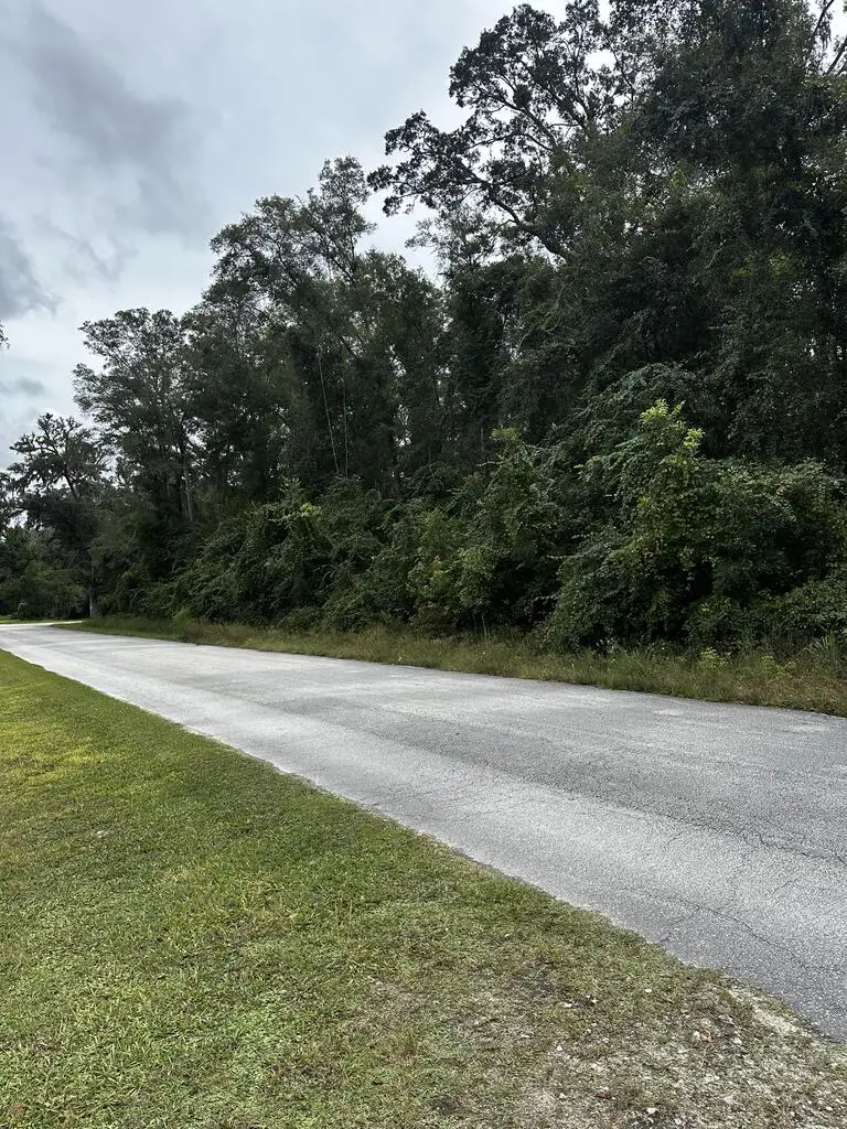 0 NE 303rd Ave, Old Town, FL 32680 - #3