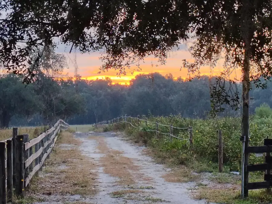 650 NE 170th Ave, Williston, FL 32696 - #3