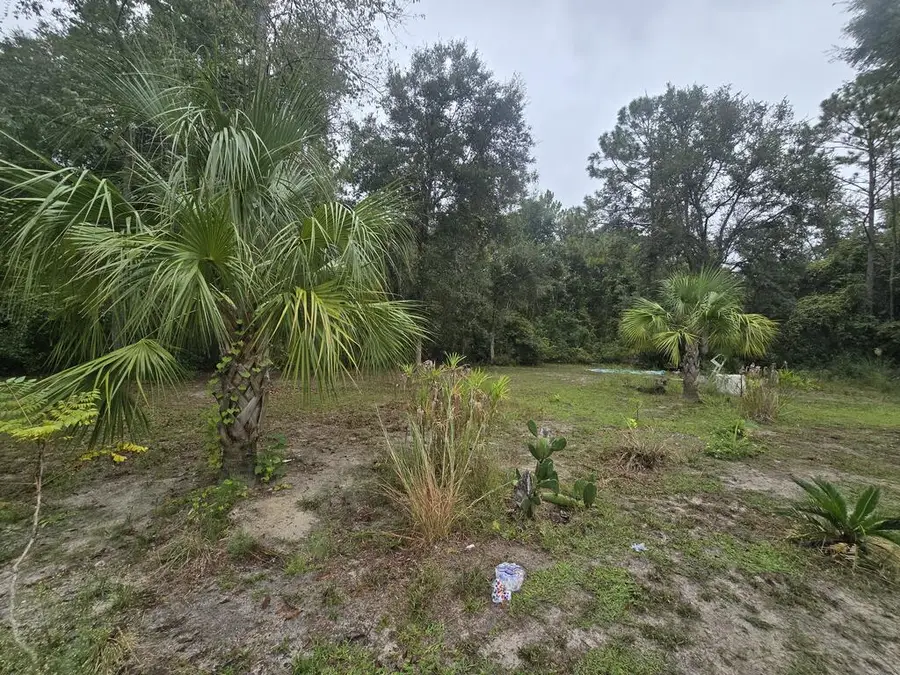 631 NE 674th St, Old Town, FL 32680 - #2