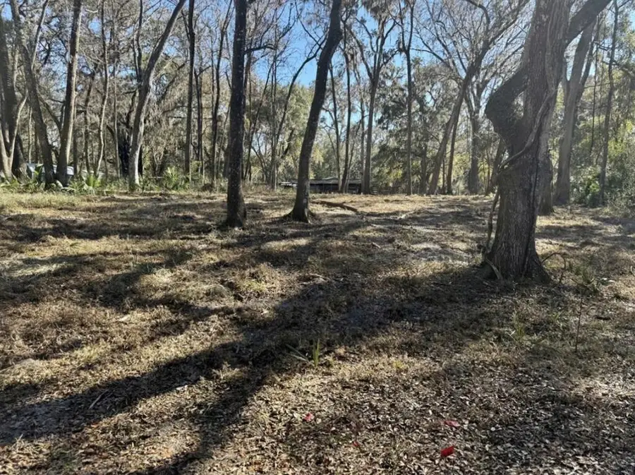 83rd Rd, Old Town, FL 32680 - #3