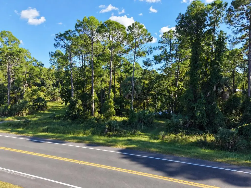 20389 SE Hwy 349, Cross City South, FL 32692 - #1