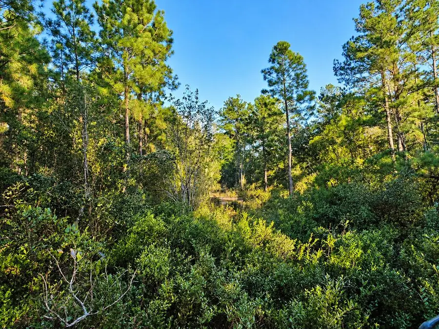 NW 104th Ave, Jasper, FL 32052 - #2