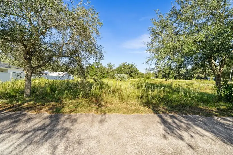 1147 Palmetto Street, Bell, FL 32619 - #3