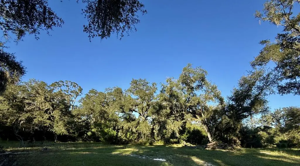 310 NE 497th St, Old Town, FL 32680 - #1