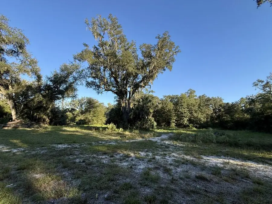 310 NE 497th St, Old Town, FL 32680 - #2