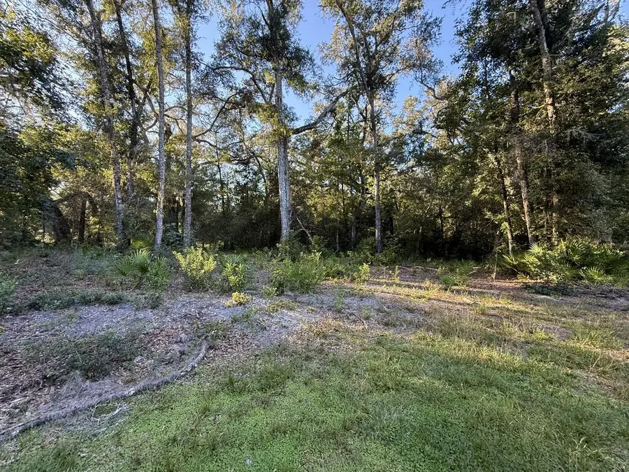 310 NE 497th St, Old Town, FL 32680 - #3