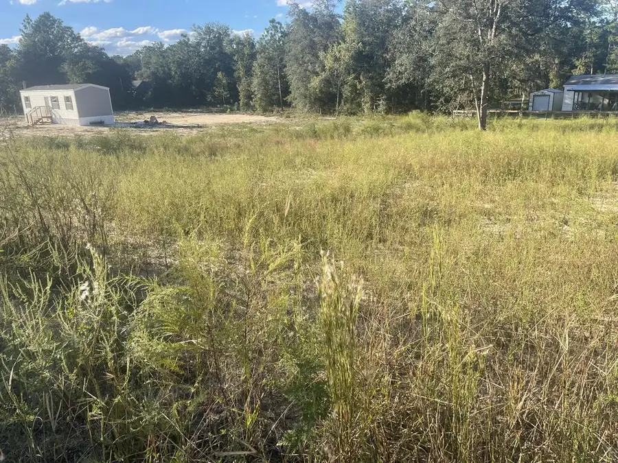 000 16th Ln, Williston, FL 32696 - #2