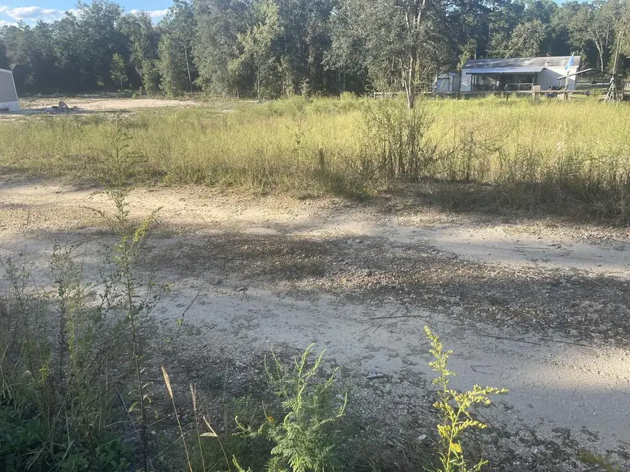 000 16th Ln, Williston, FL 32696 - #3