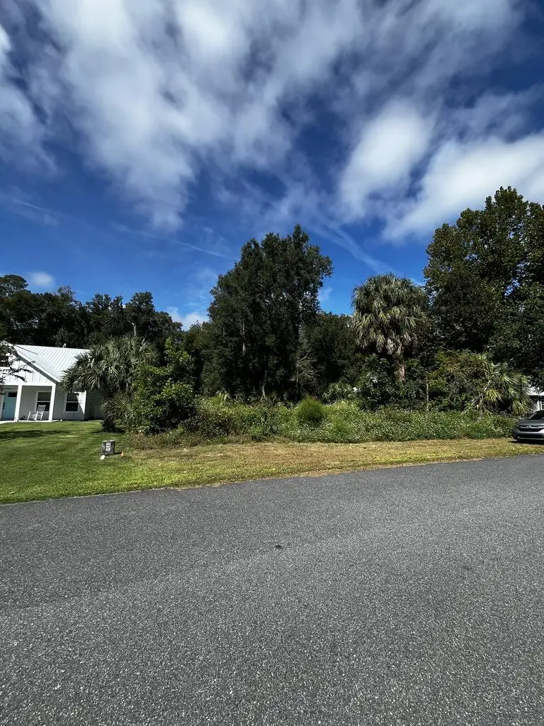 9239 Emily Dr, Fanning Springs, FL 32693 - #1