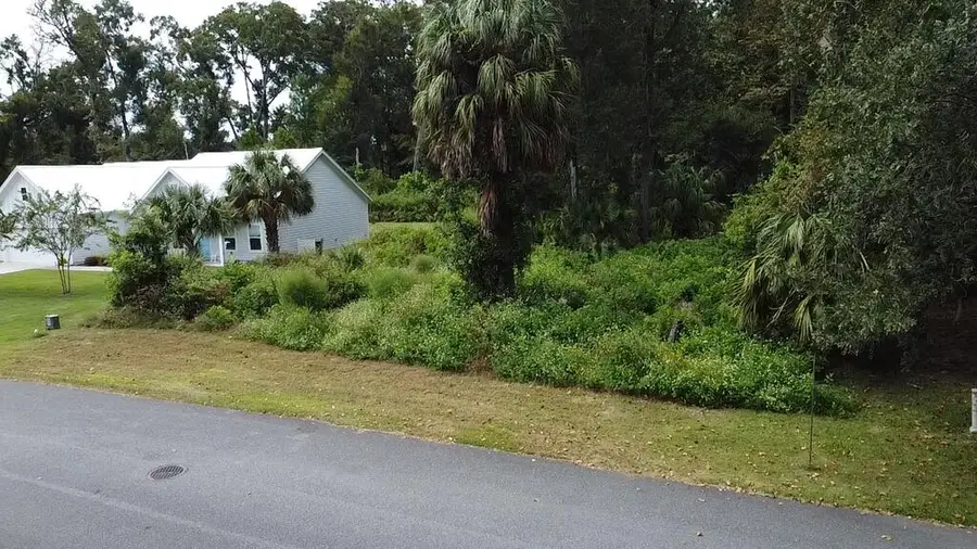 9239 Emily Dr, Fanning Springs, FL 32693 - #2