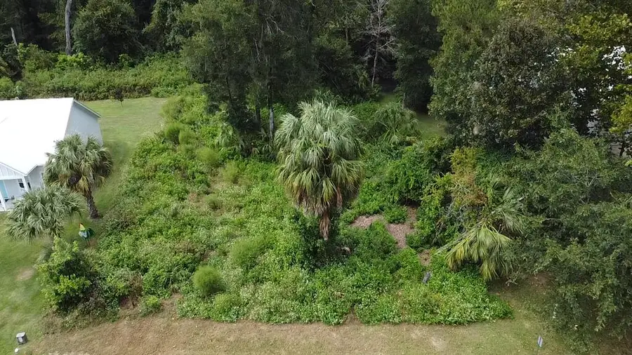 9239 Emily Dr, Fanning Springs, FL 32693 - #3