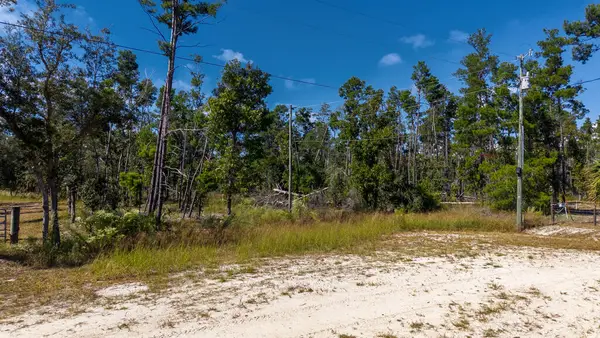 0 Bambi Ct, Keaton Beach, FL 32348
