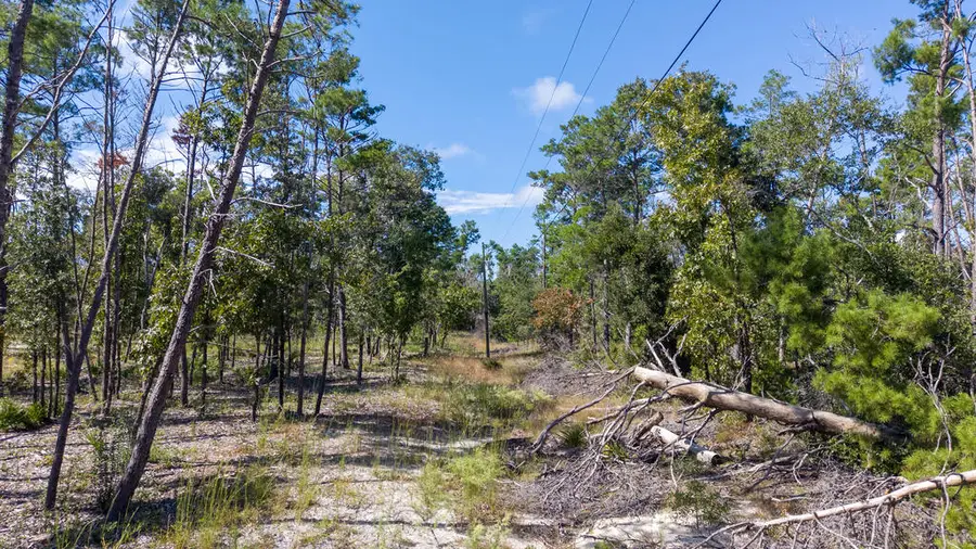 0 Bambi Ct, Perry South, FL 32348 - #3