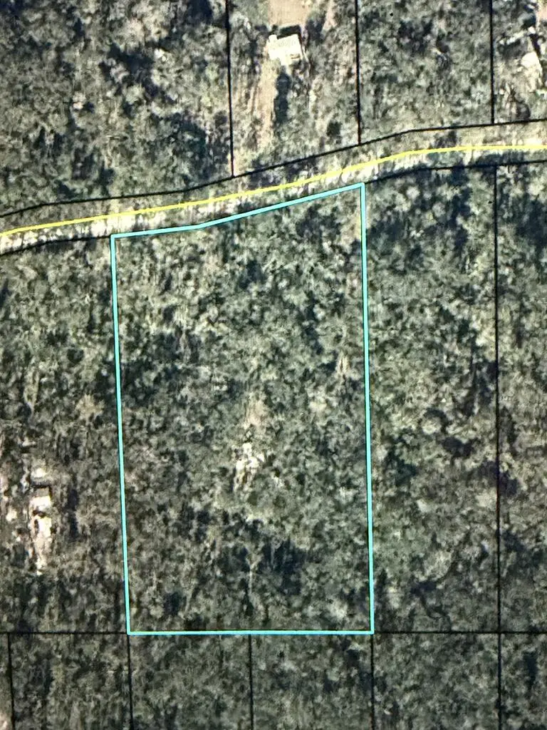 429 NE 385th Ave, Old Town, FL 32680 - #2