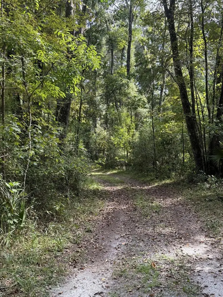 429 NE 385th Ave, Old Town, FL 32680 - #1