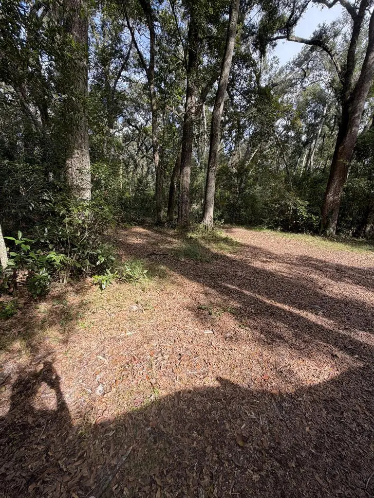 429 NE 385th Ave, Old Town, FL 32680 - #2