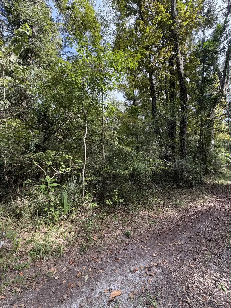 429 NE 385th Ave, Old Town, FL 32680 - #3