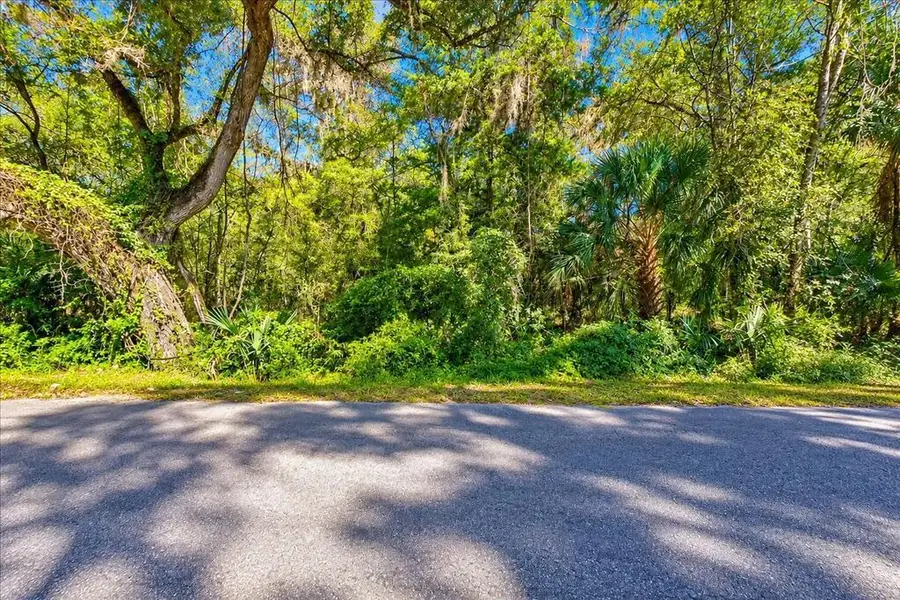 NE 399th St, Old Town, FL 32680 - #2