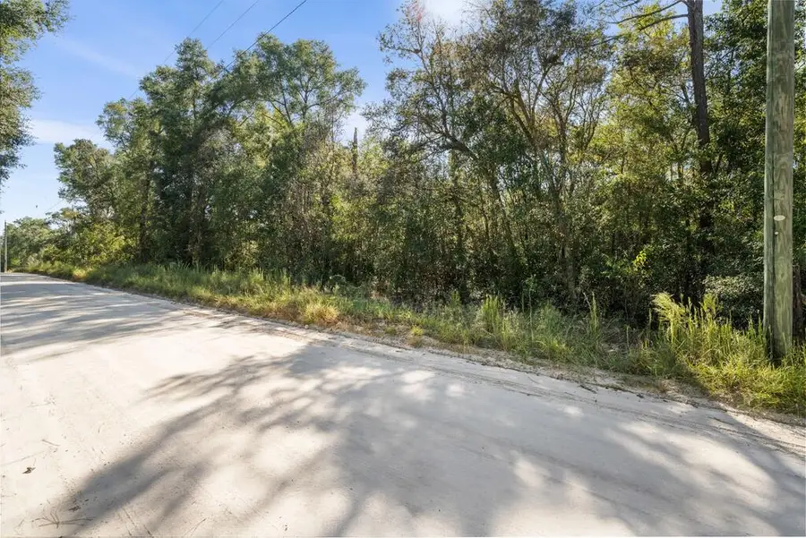 3049 NW 45th Ave, Bell, FL 32619 - #2