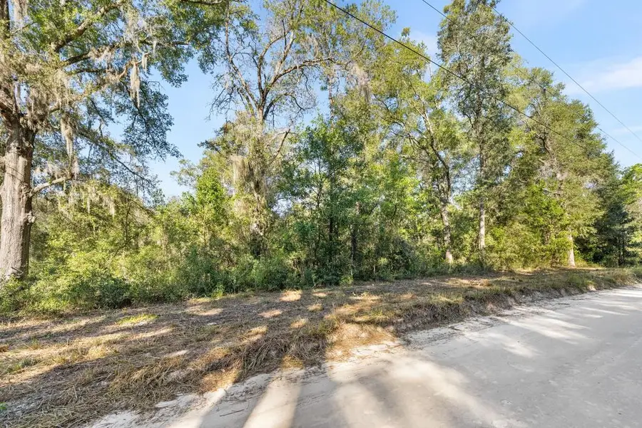 3049 NW 45th Ave, Bell, FL 32619 - #3