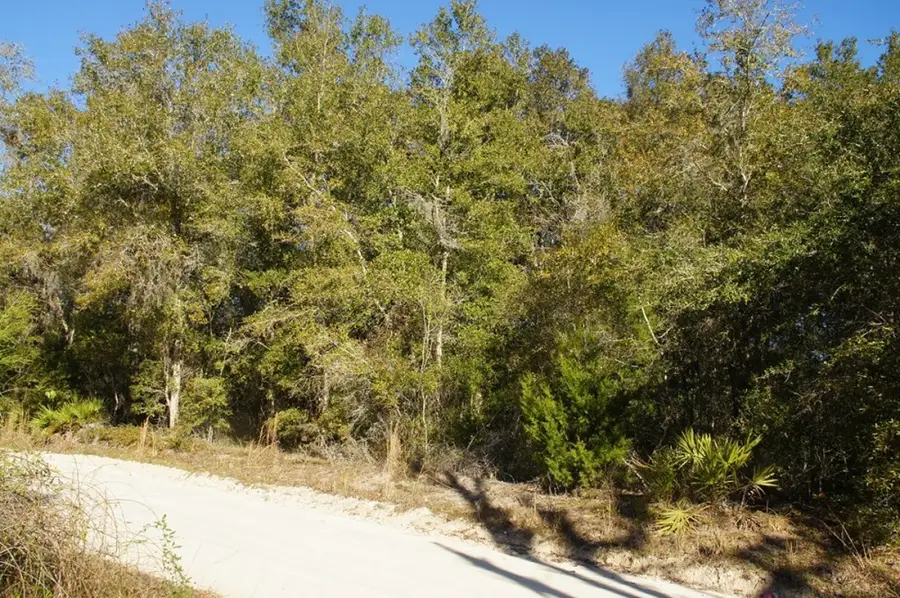 SE 66th Ave, Trenton, FL 32693 - #2