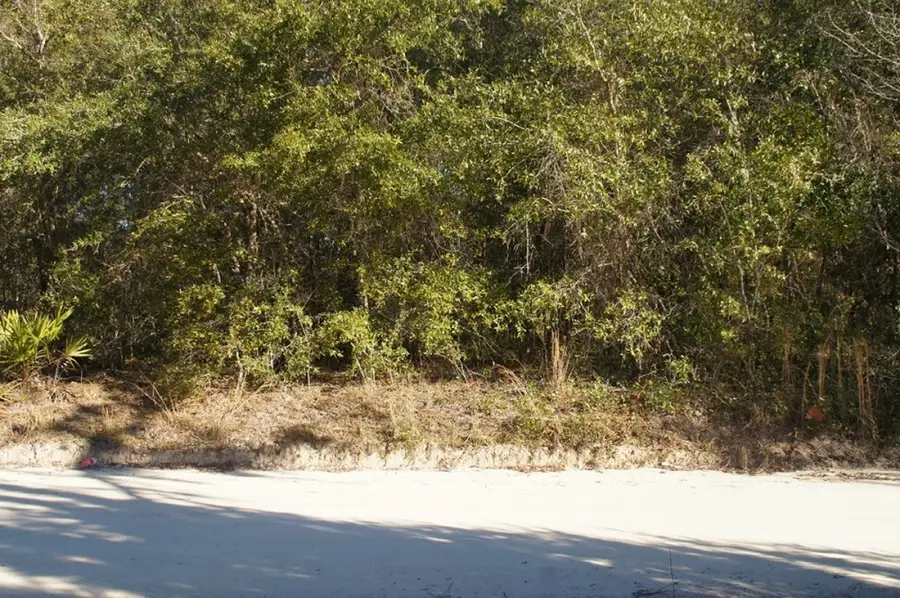 SE 66th Ave, Trenton, FL 32693 - #3