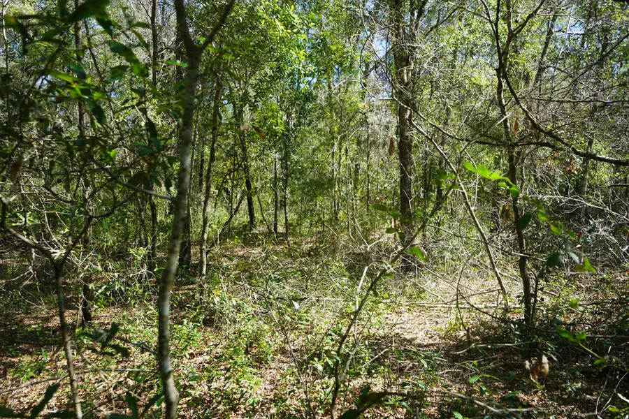 SE 66th Ave, Trenton, FL 32693 - #2