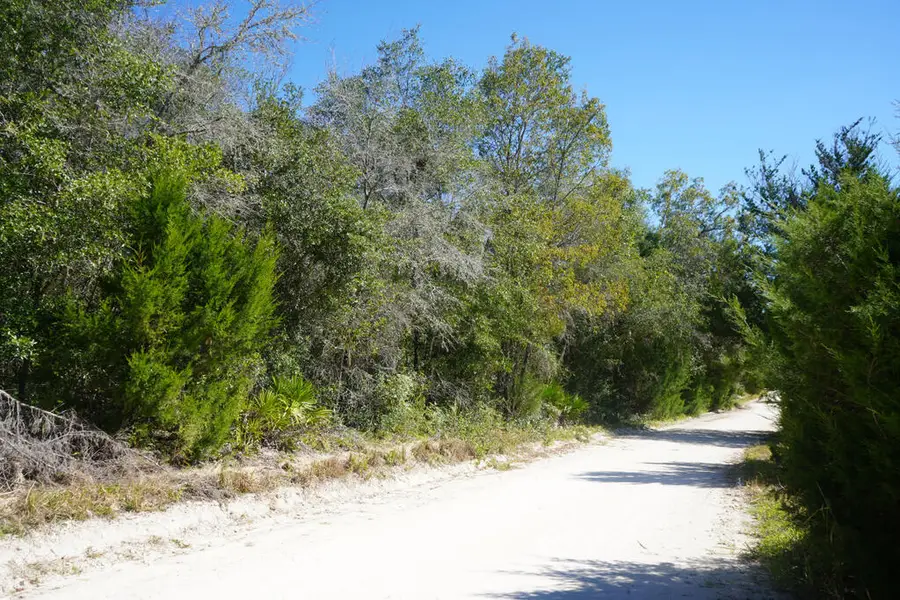 SE 66th Ave, Trenton, FL 32693 - #3