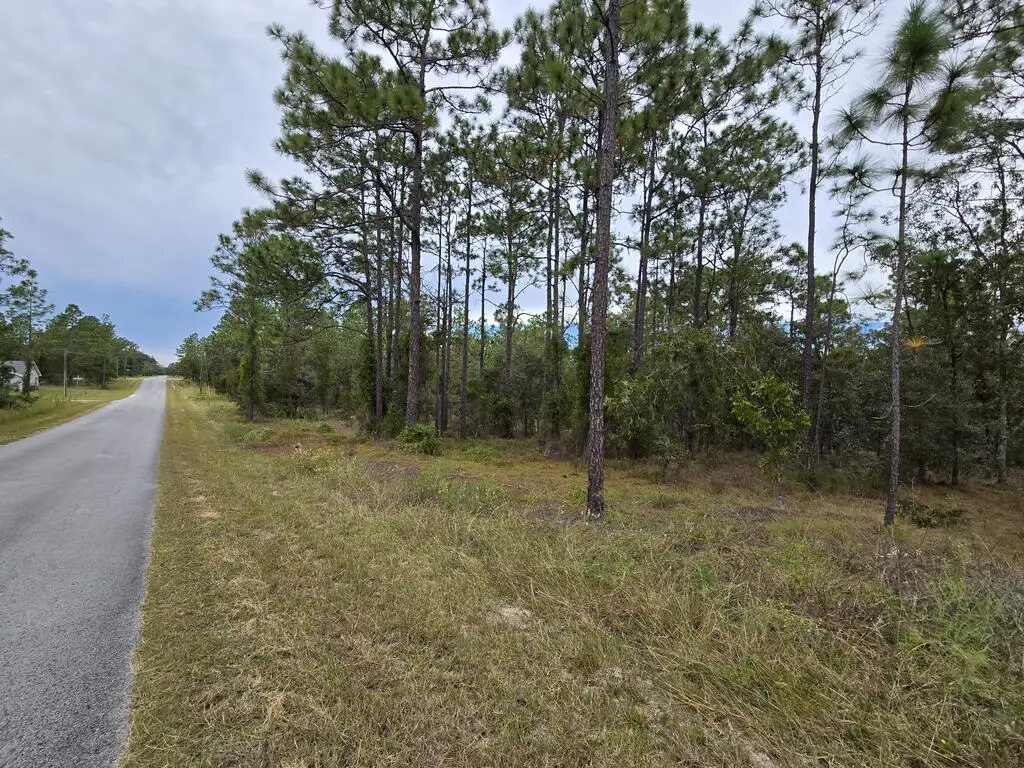 Lot 21 SE 105th Ln, Dunnellon, FL 34431 - #1