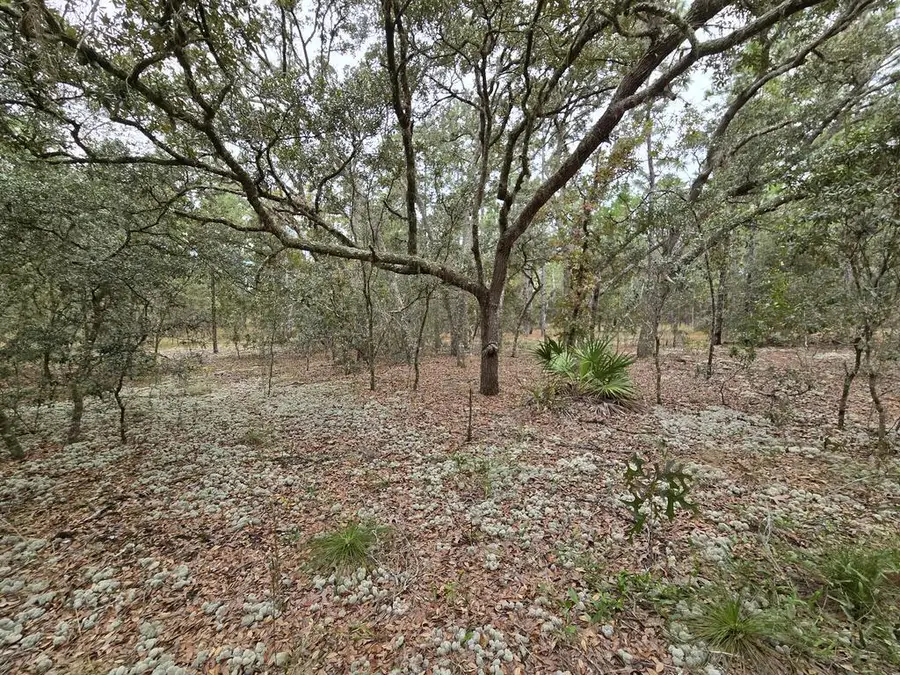 Lot 21 SE 105th Ln, Dunnellon, FL 34431 - #2