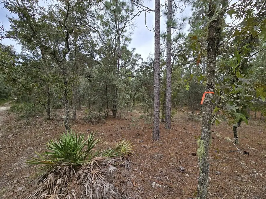 Lot 21 SE 105th Ln, Dunnellon, FL 34431 - #3