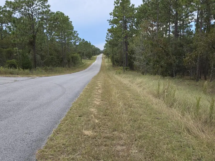 Lot 22 SE 105th Ln, Dunnellon, FL 34431 - #2