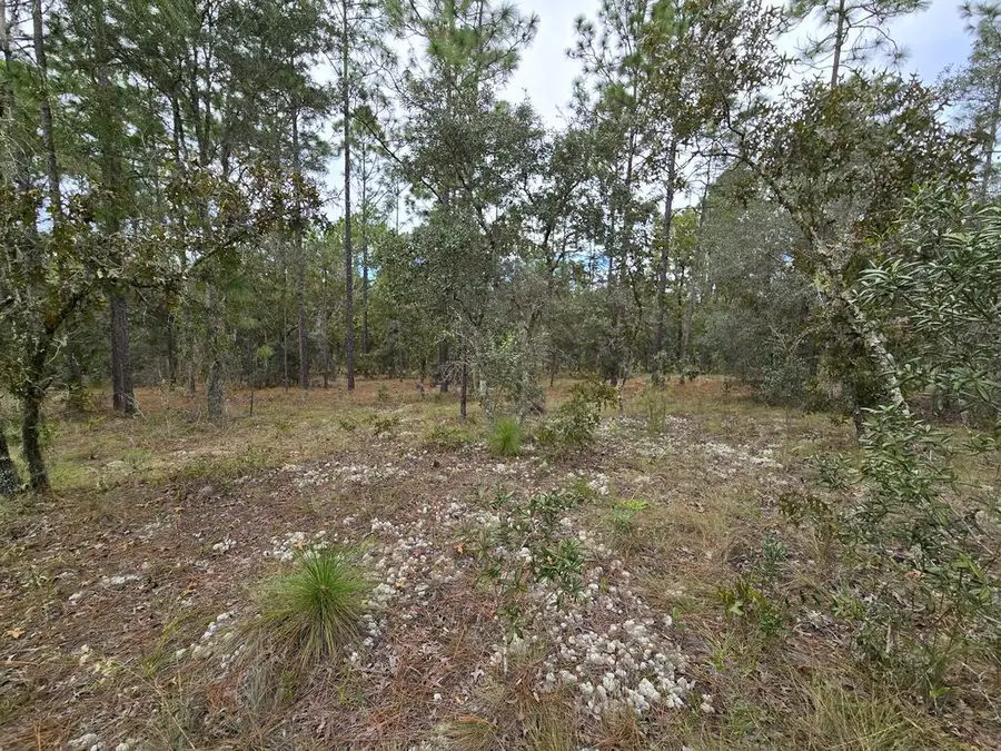 Lot 22 SE 105th Ln, Dunnellon, FL 34431 - #3
