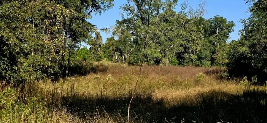 27210 41st Rd, Branford, FL 32008 - #2