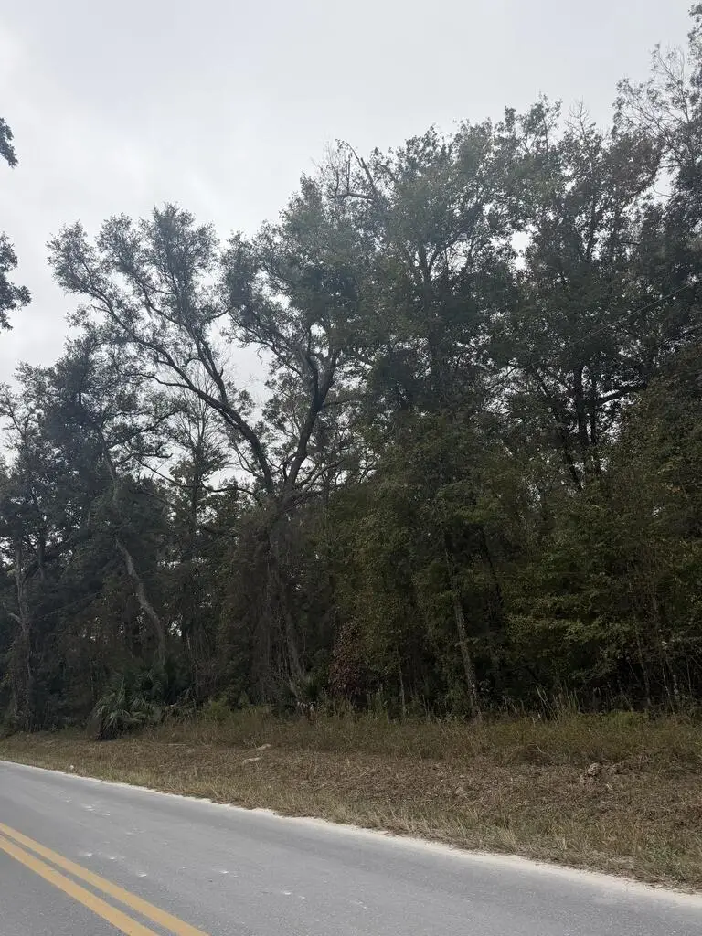 00 NE 550th St, Old Town, FL 32680 - #2
