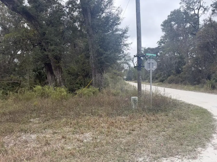 00 NE 550th St, Old Town, FL 32680 - #3