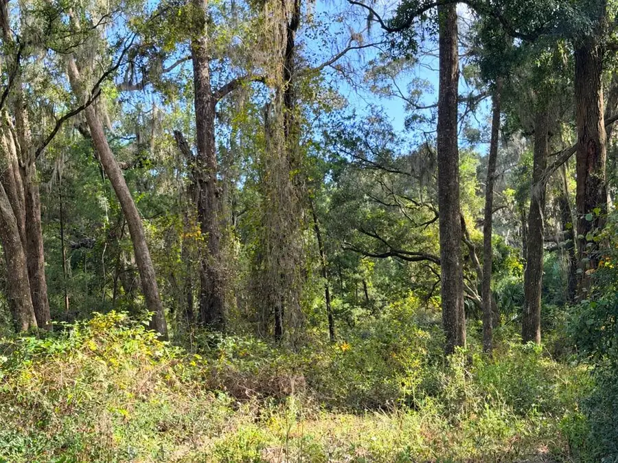 1190 NW 92nd Pl, Chiefland, FL 32626 - #3