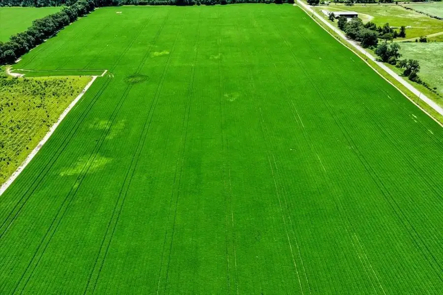 Lot 5 NW 130th St, Chiefland, FL 32626 - #2