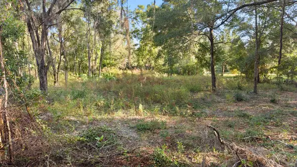 NE 538th Ave, Old Town, FL 32680