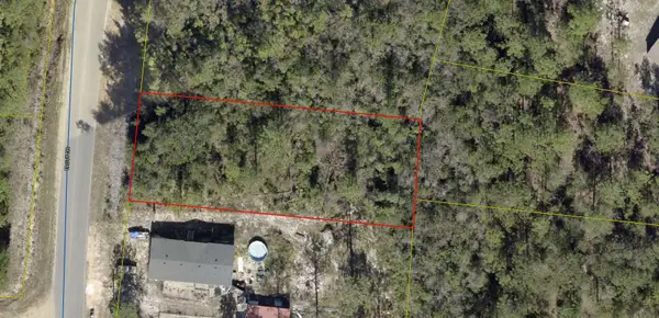 XXX Trout Drive, DeFuniak Springs, FL 32433