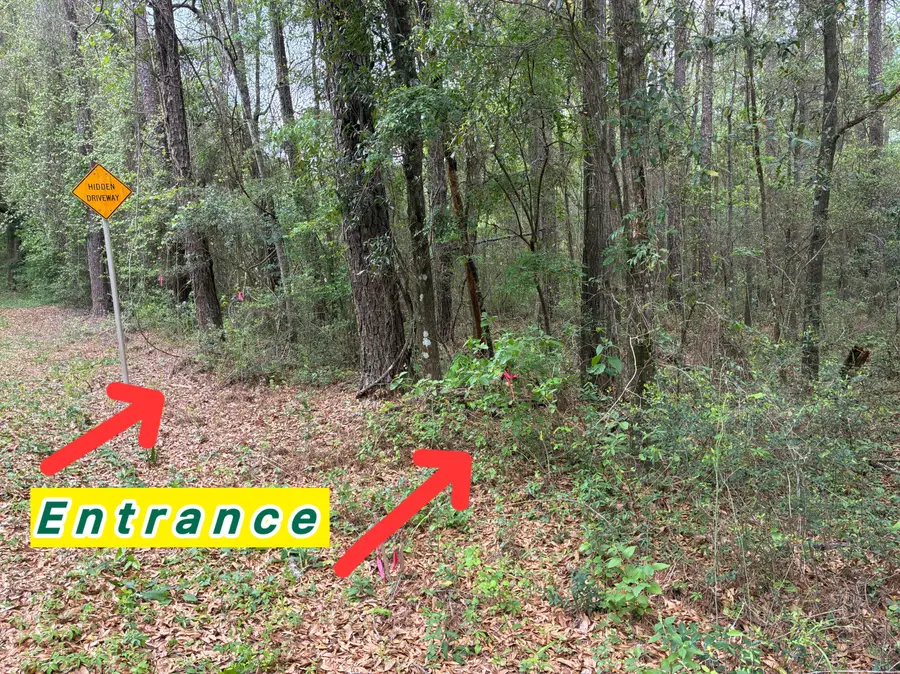 XX S County Hwy 183, Ponce De Leon, FL 32455 - #2