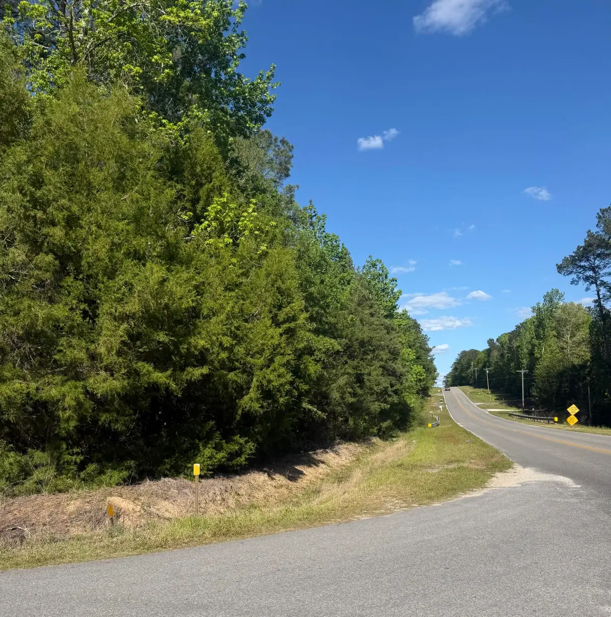 10 Acres Bob Sikes Road, Defuniak Springs, FL 32435 - #1