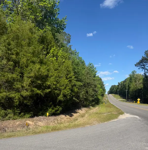 10 Acres Bob Sikes Road, DeFuniak Springs, FL 32435
