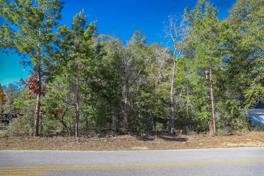 LOT 19 E Michaelangelo Road, Defuniak Springs, FL 32433 - #3