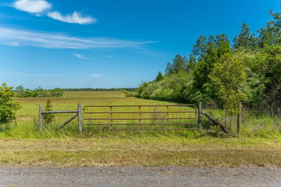 Parcel B Adams Drive, Defuniak Springs, FL 32433 - #2